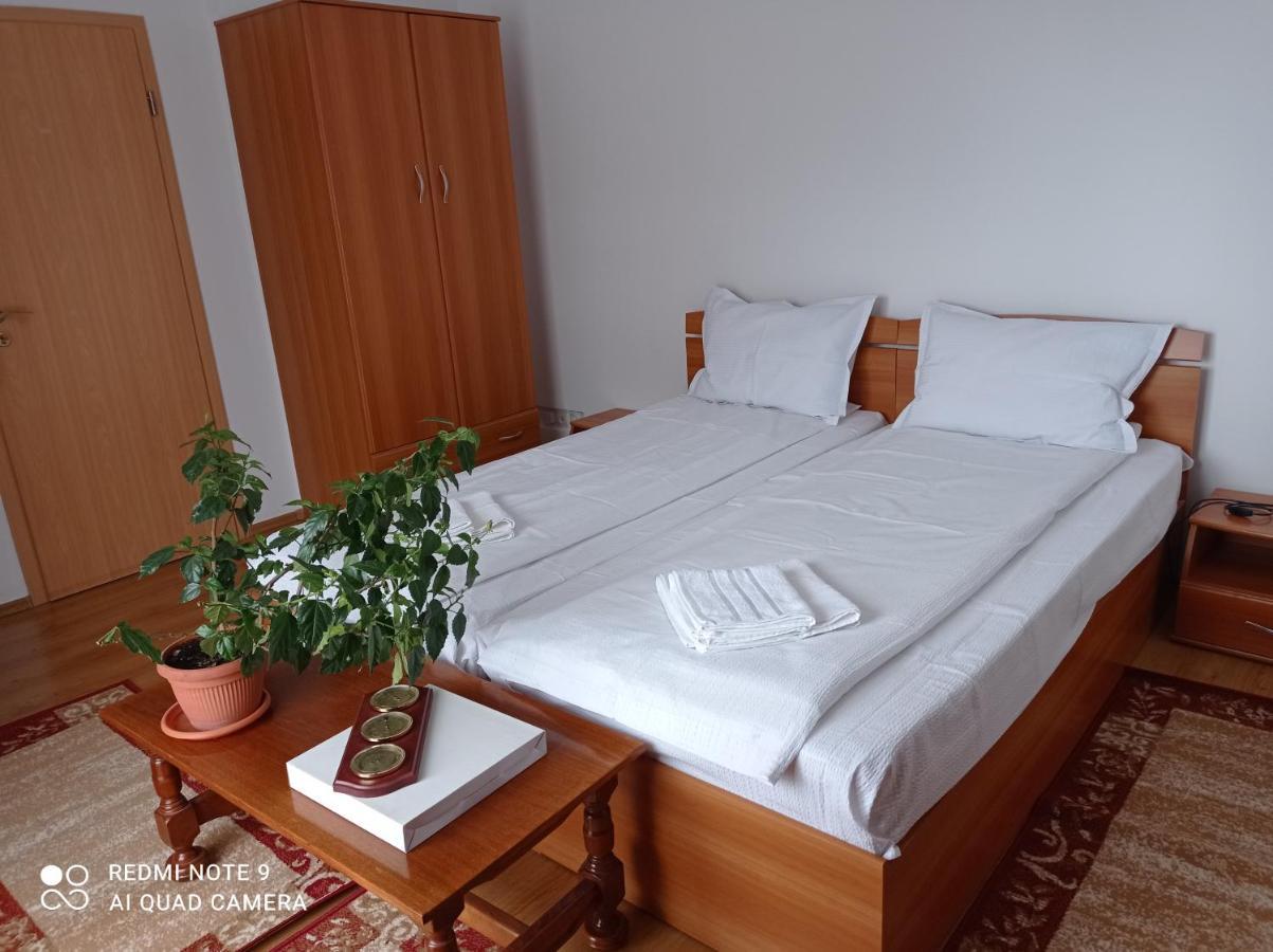 Pension Vila Andra Σίμπιου Εξωτερικό φωτογραφία