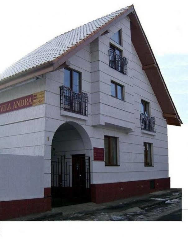 Pension Vila Andra Σίμπιου Εξωτερικό φωτογραφία